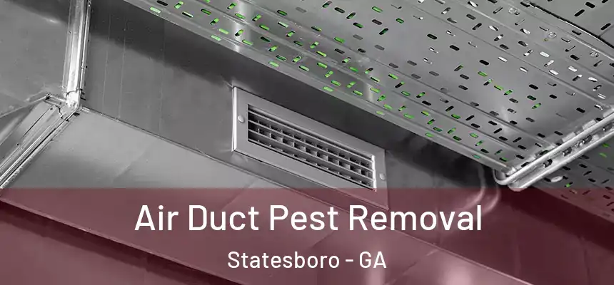  Air Duct Pest Removal Statesboro - GA