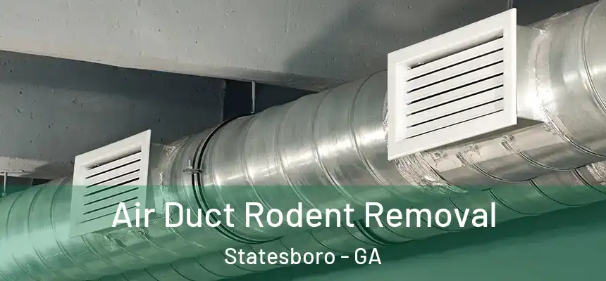 Air Duct Rodent Removal Statesboro - GA