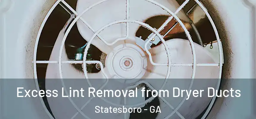 Excess Lint Removal from Dryer Ducts Statesboro - GA