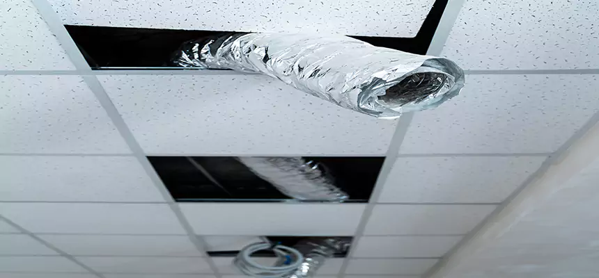 Affordable HVAC Sanitizing After Pest Removal in Statesboro