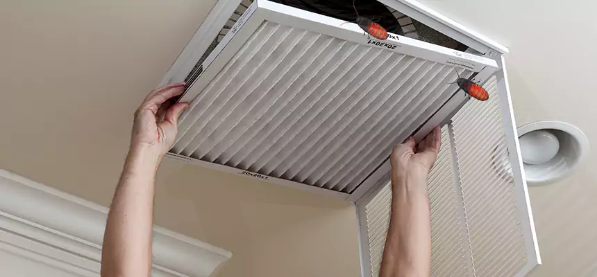 Our Insect Removal from Air Ducts Services in Statesboro, GA
