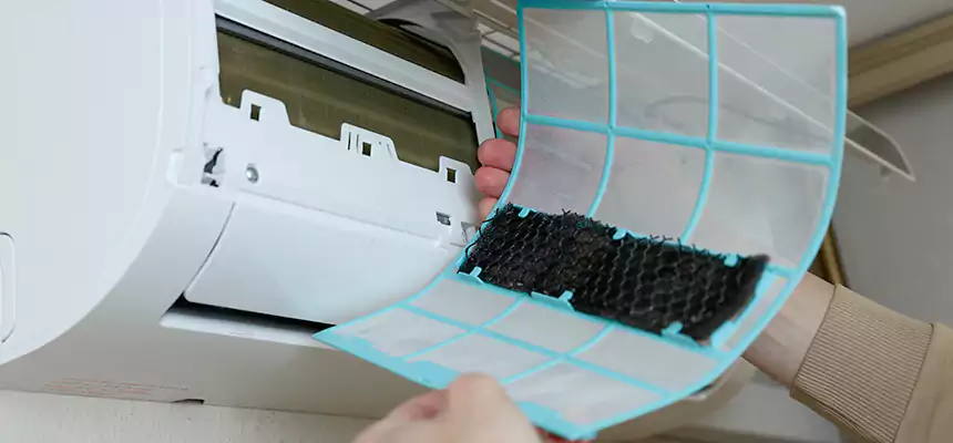 Gentle Ductwork Odor-Control Pet Dander Duct Cleaning in Statesboro, GA