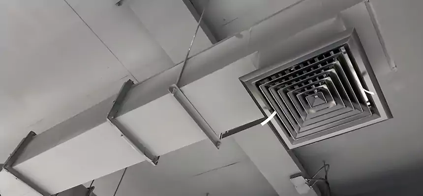 Our Rodent Droppings In Vents Services in Statesboro, GA