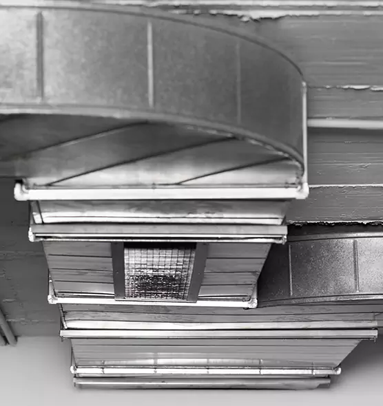 Professional Air Duct Pet Hair Removal in Statesboro, GA