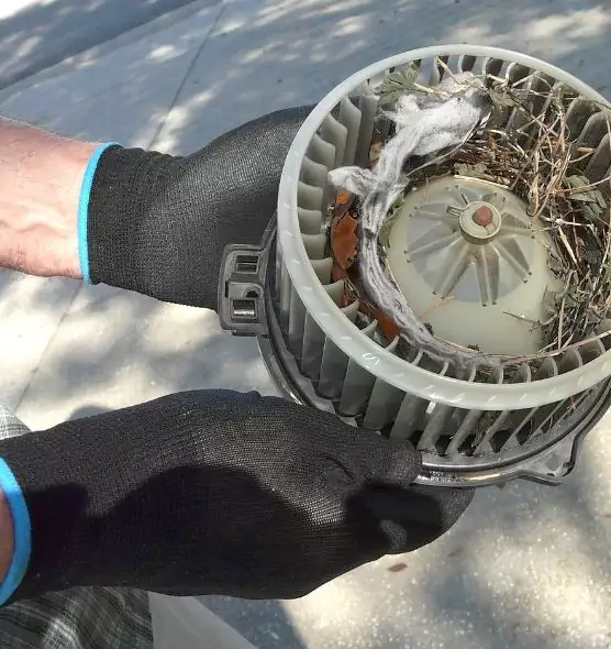 About Air Duct Rat Removal in Statesboro, GA