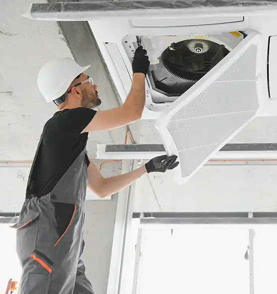 About Air Duct Rodent Removal in Statesboro, GA