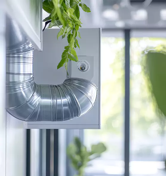 Professional Eco-Safe Dryer Vent Cleaning in Statesboro, GA