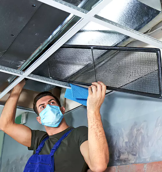 Professional Home Ventilation Cleaning in Statesboro, GA