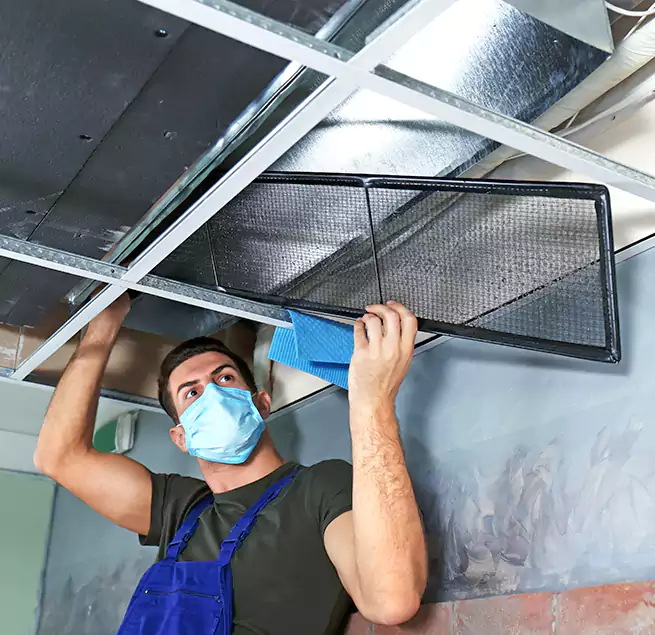 Why Homeowners Businesses Trust Us in Statesboro, GA