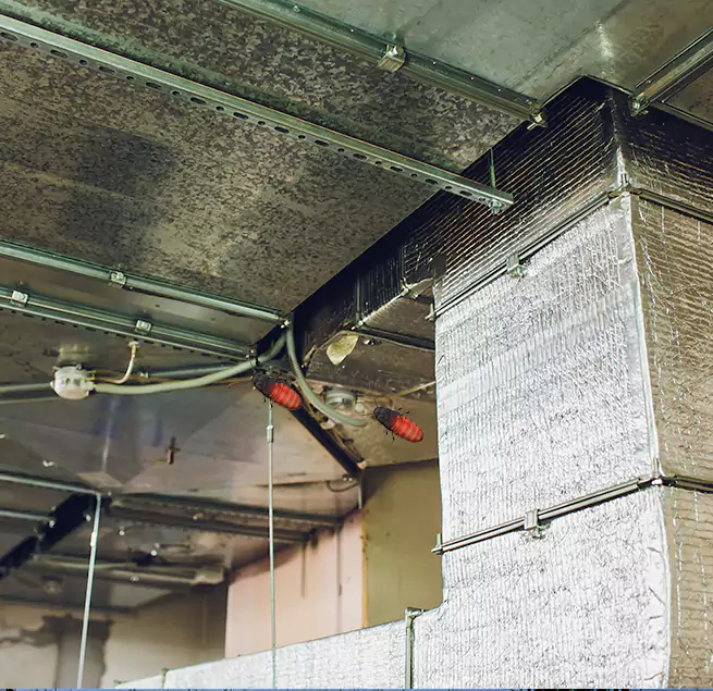 Why Homeowners & Businesses Trust Us Statesboro, GA?