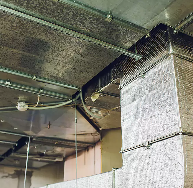 Why Homeowners & Businesses Trust Us in Statesboro, GA?